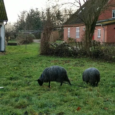 Bed & Breakfast Mikrogaarden Shared Kitchen&bathroom Svebolle