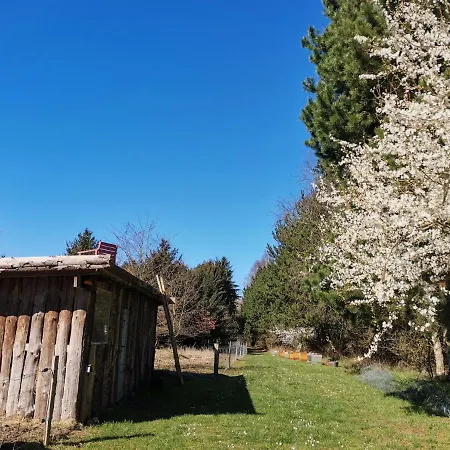 ベッド・アンド・ブレックファスト Mikrogaarden Shared Kitchen&bathroom