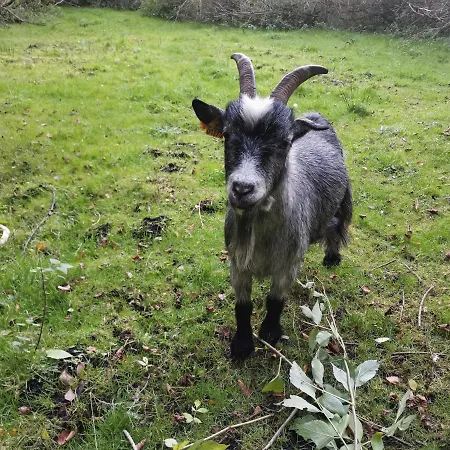 Bed & Breakfast Mikrogaarden Shared Kitchen&bathroom Svebolle