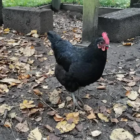 Mikrogaarden Shared Kitchen&bathroom