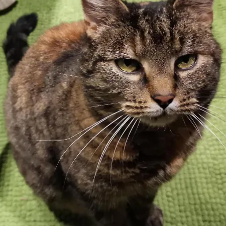 Mikrogaarden Shared Kitchen&bathroom Svebolle