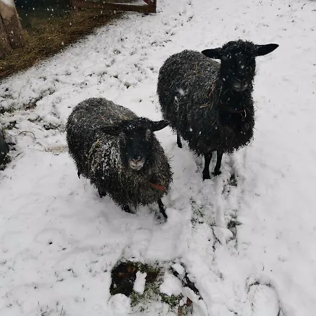 Mikrogaarden Shared Kitchen&bathroom * Svebolle