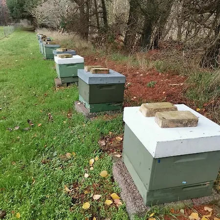 Mikrogaarden Shared Kitchen&bathroom *