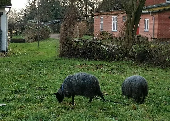 Bed & Breakfast Mikrogaarden Shared Kitchen&bathroom Svebolle