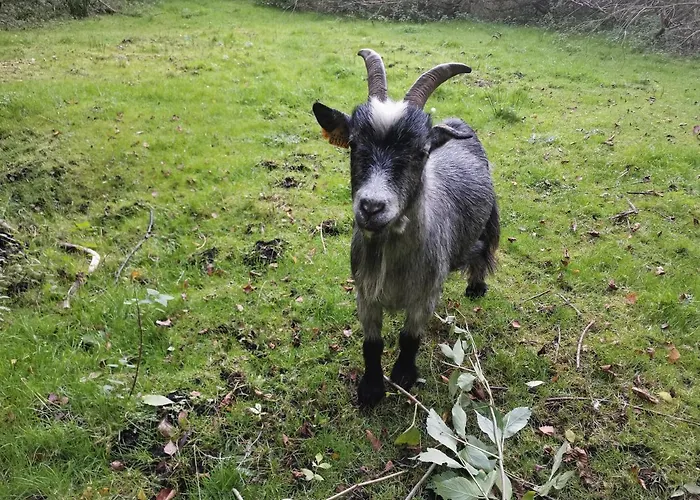 Nocleg ze śniadaniem Mikrogaarden Shared Kitchen&bathroom Svebolle