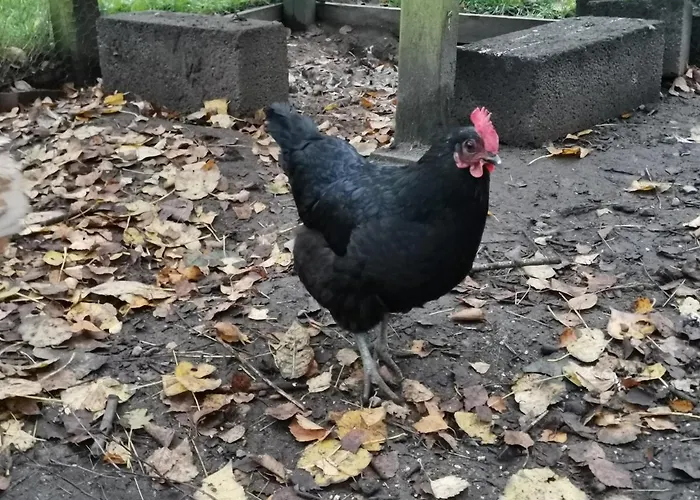Mikrogaarden Shared Kitchen&bathroom