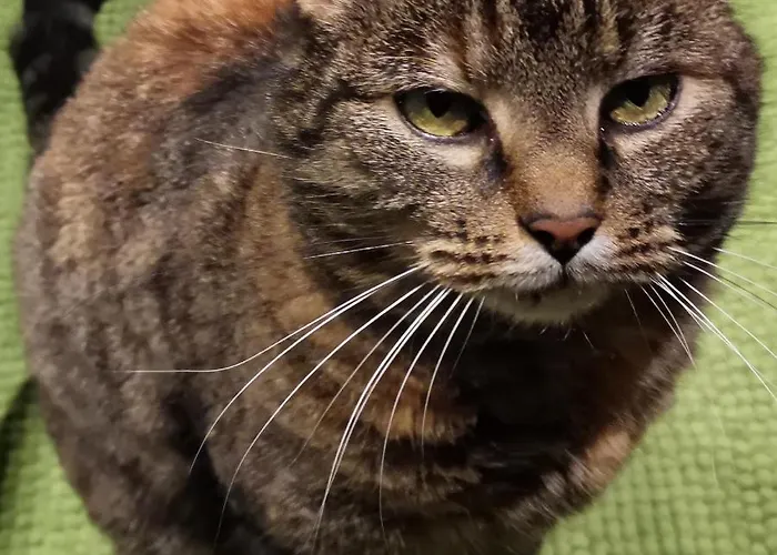 Mikrogaarden Shared Kitchen&bathroom Svebolle