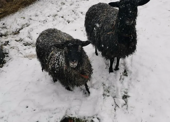 Mikrogaarden Shared Kitchen&bathroom * Svebolle