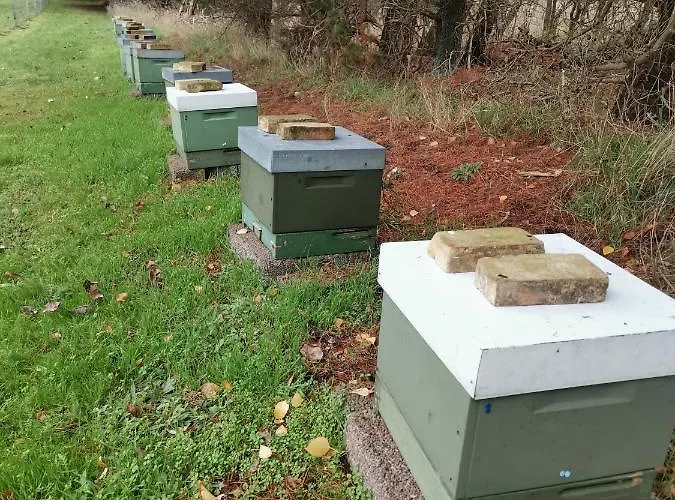 Mikrogaarden Shared Kitchen&bathroom *